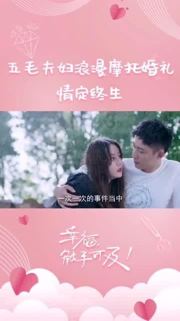 白孔雀救援